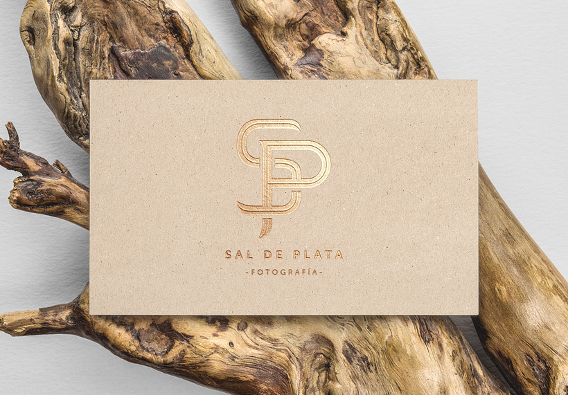 Proyecto final: Sal de Plata. 18