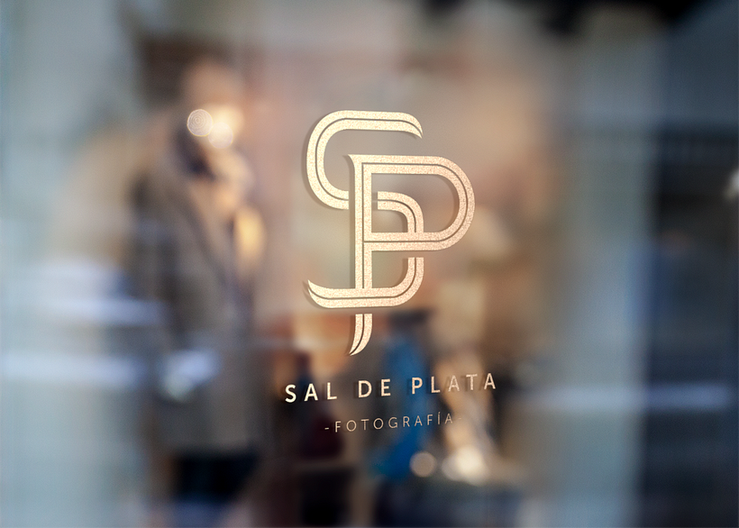 Proyecto final: Sal de Plata. 21