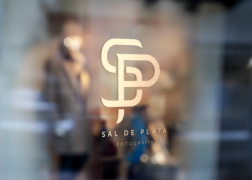 Proyecto final: Sal de Plata. 22