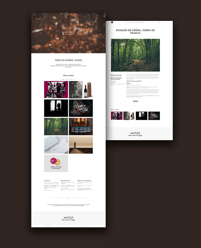 Diseño web: Matizz 0