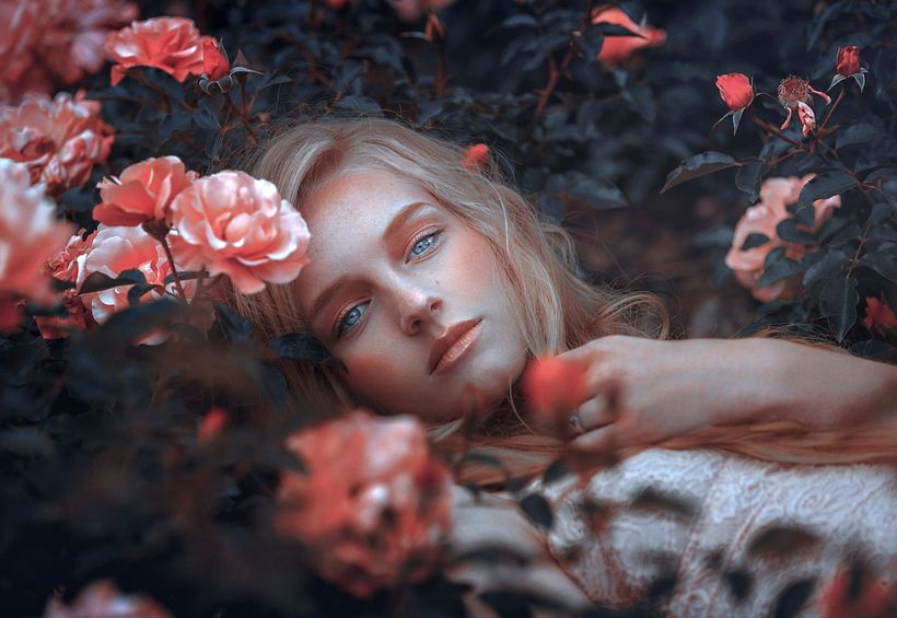 Saison des fleurs 2
