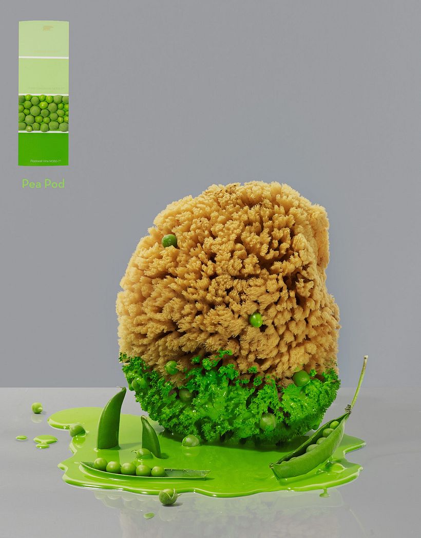 Anna Keville Joyce y el arte de ilustrar con comida 15