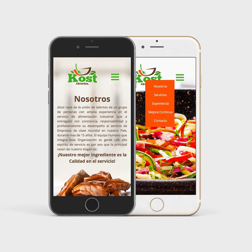 Mi Proyecto del curso: Introducción al Desarrollo Web Responsive con HTML y CSS 0