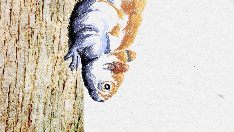 Natura 1