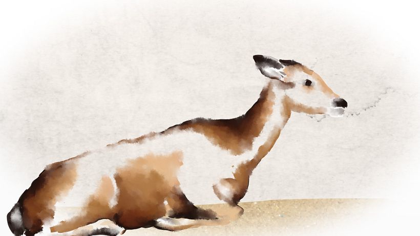 Natura 2