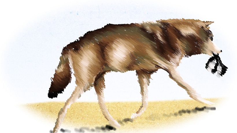 Natura 3
