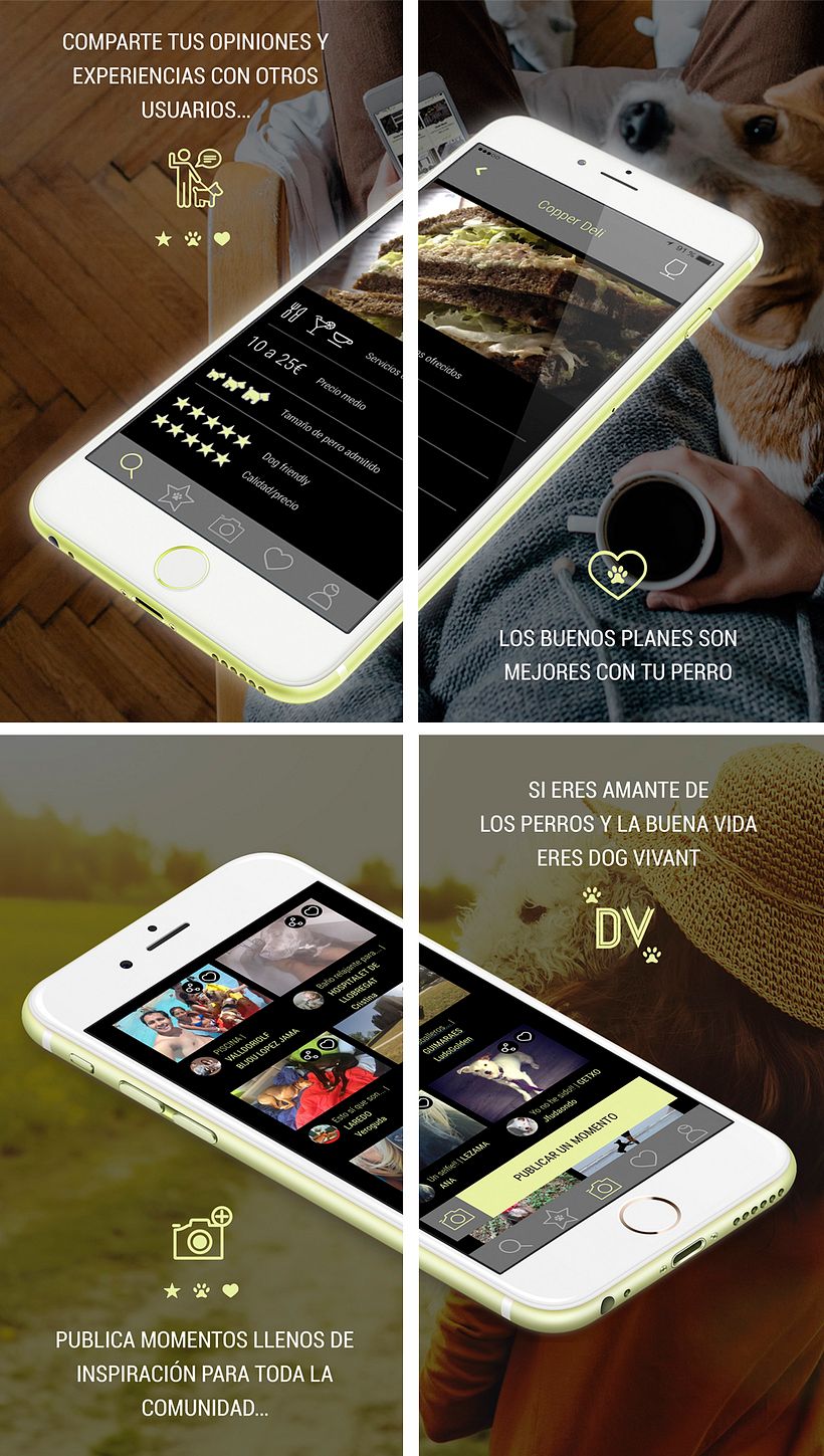 APP Dog Vivant - Diseño y lanzamiento 4