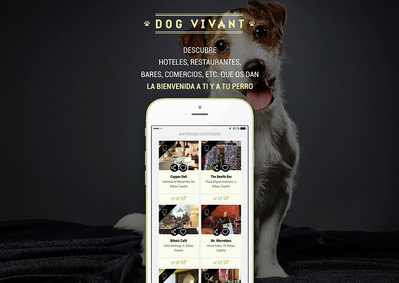 APP Dog Vivant - Diseño y lanzamiento 3
