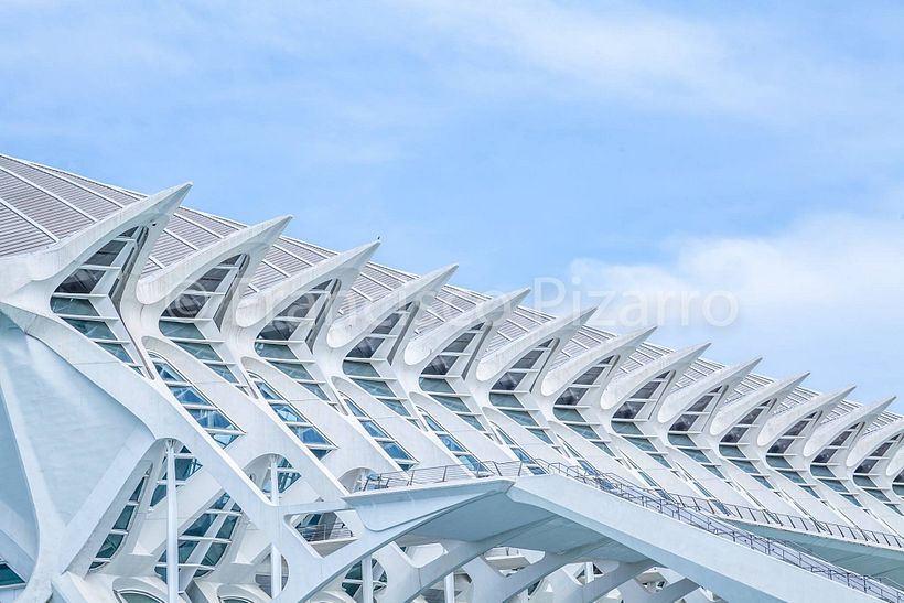 Ciudad de las Artes y las Ciencias 4
