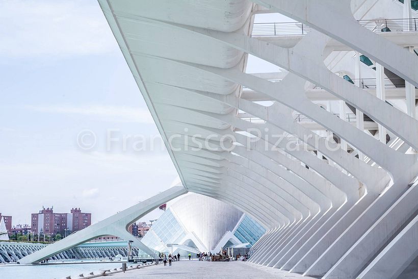 Ciudad de las Artes y las Ciencias 6