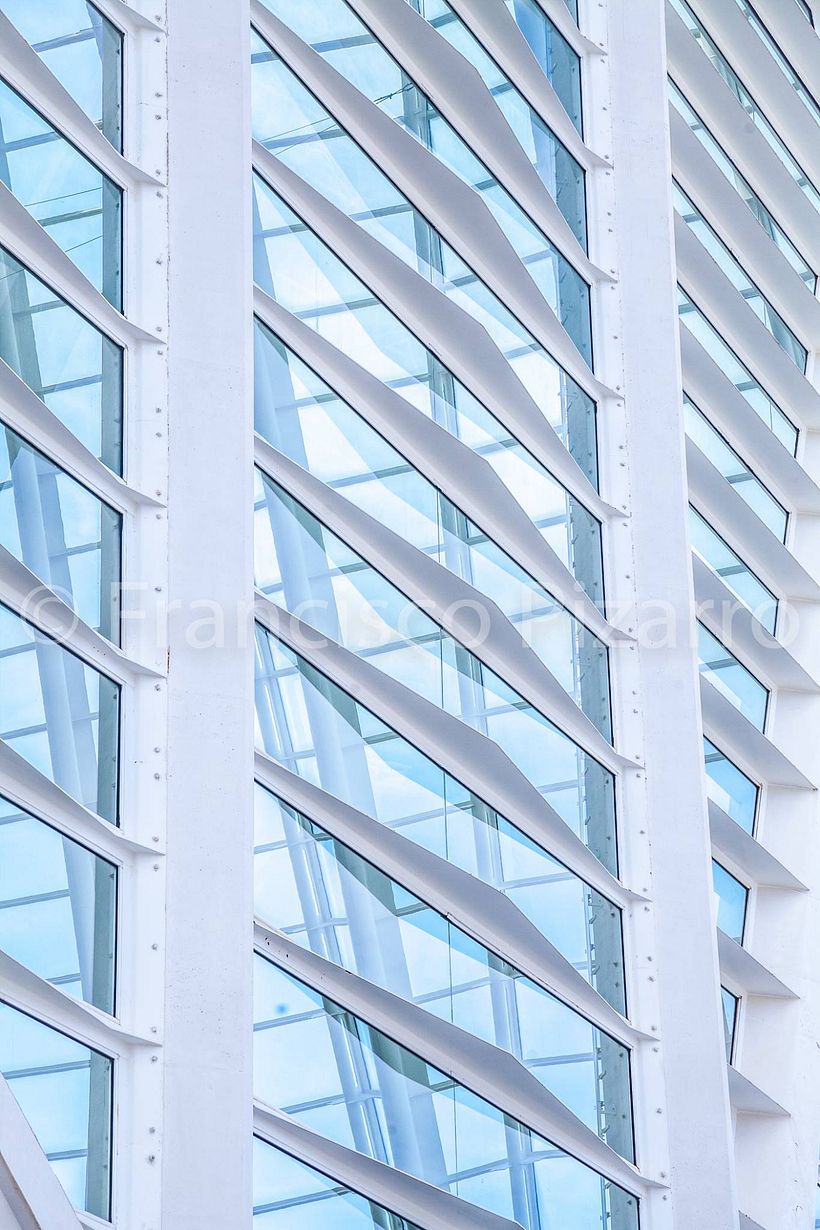 Ciudad de las Artes y las Ciencias 12