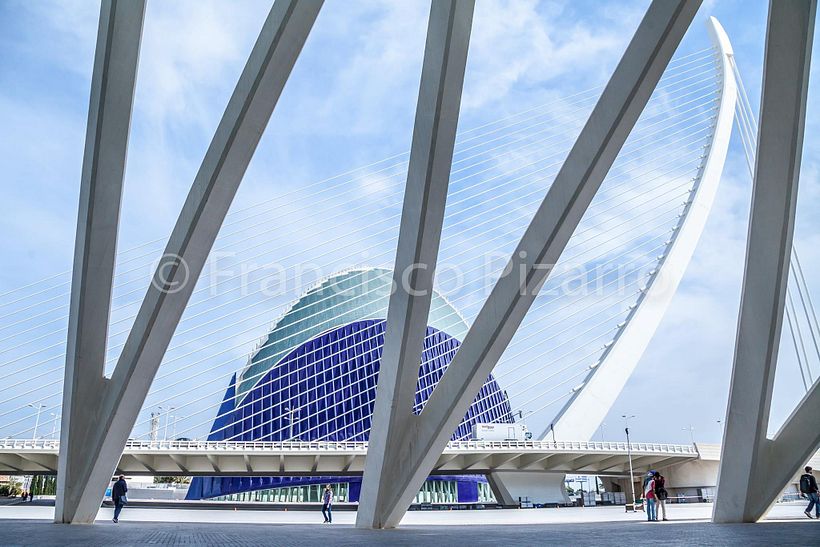 Ciudad de las Artes y las Ciencias 13