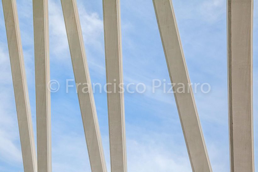 Ciudad de las Artes y las Ciencias 14