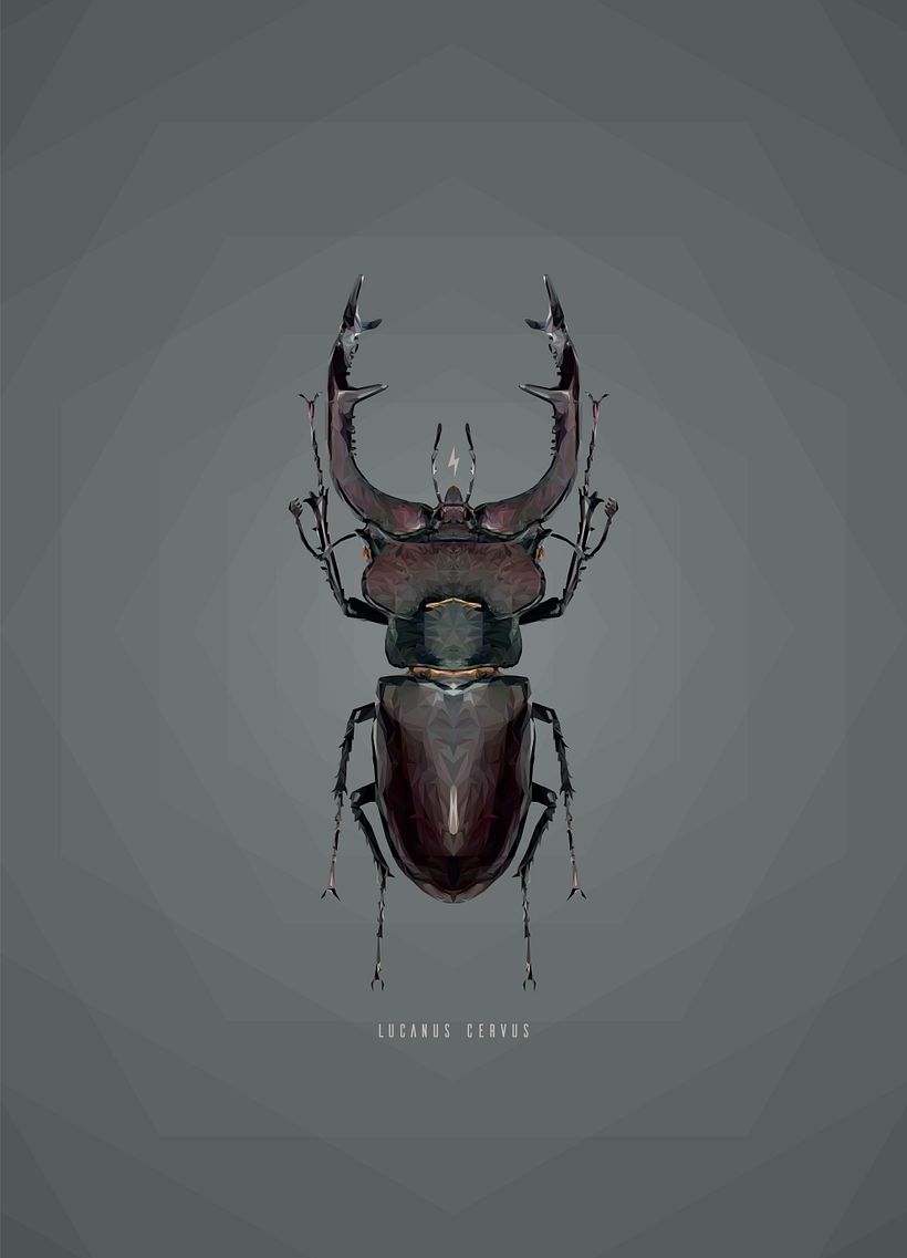 Geometric Lucanus Cervus 1