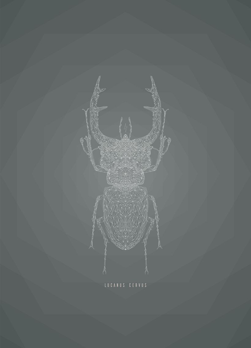 Geometric Lucanus Cervus 2