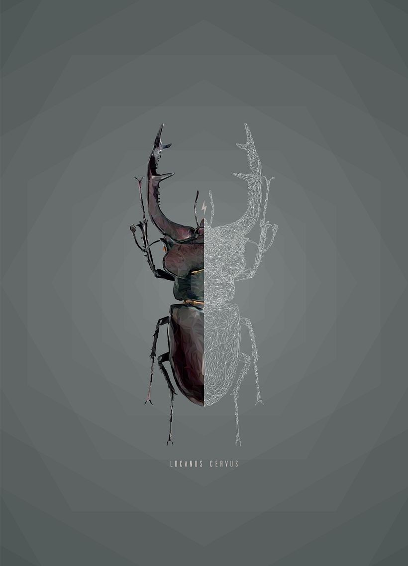 Geometric Lucanus Cervus 0