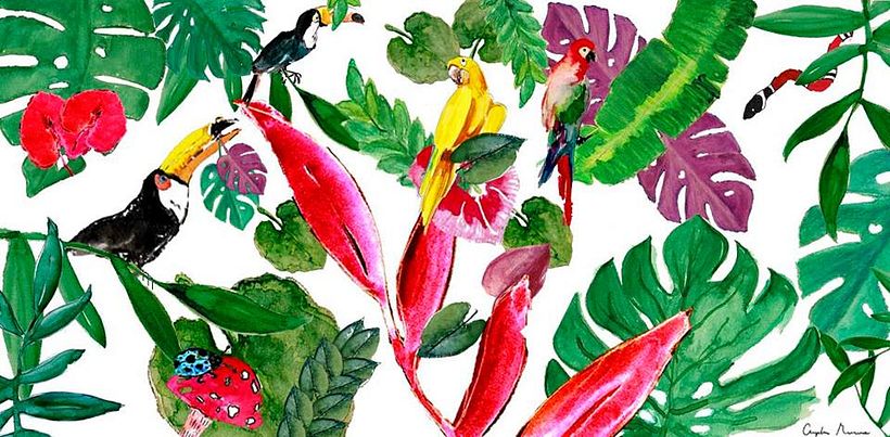 Pura Selva. Diseño para marca comercial. 0