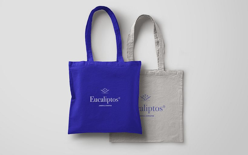 Eucaliptos 6