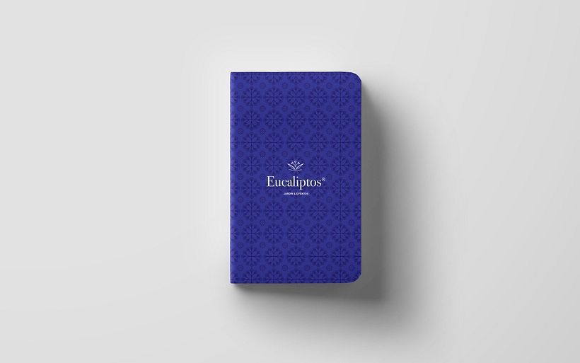Eucaliptos 7