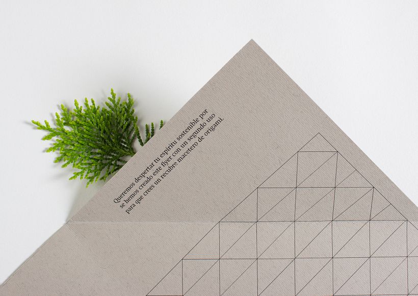 Nova Terra, Identidad visual handmade sostenible 9