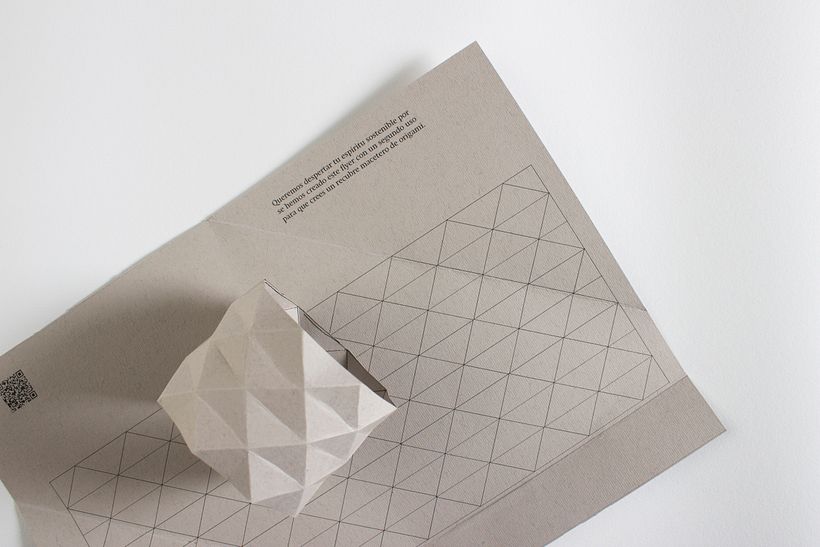 Nova Terra, Identidad visual handmade sostenible 10