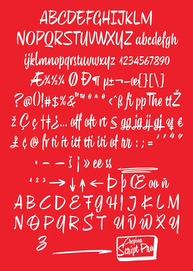 Chepina Script 9