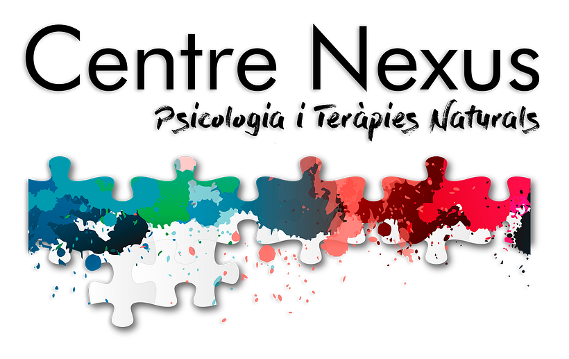 Diseño Web  -1