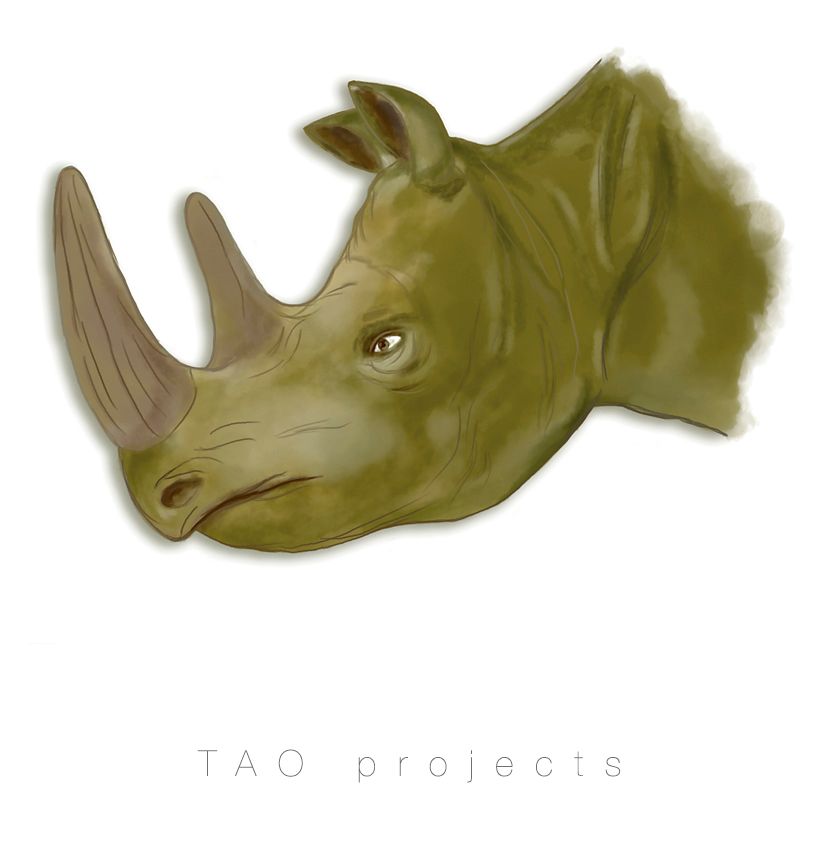 Rhino plastic - Geleneksel illüstrasyon