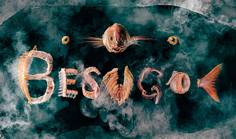 Animal: cuando fotografía, lenguaje y gastronomía colisionan 7