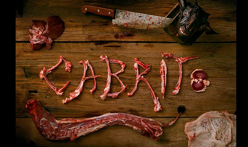 Animal: cuando fotografía, lenguaje y gastronomía colisionan 8