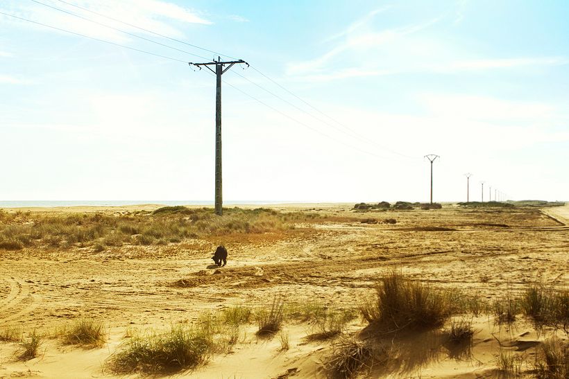 Carretera 0