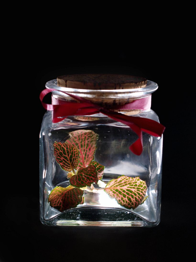 fotografía fondo negro -1