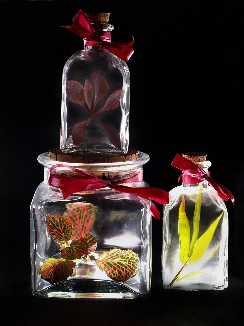 fotografía fondo negro 0