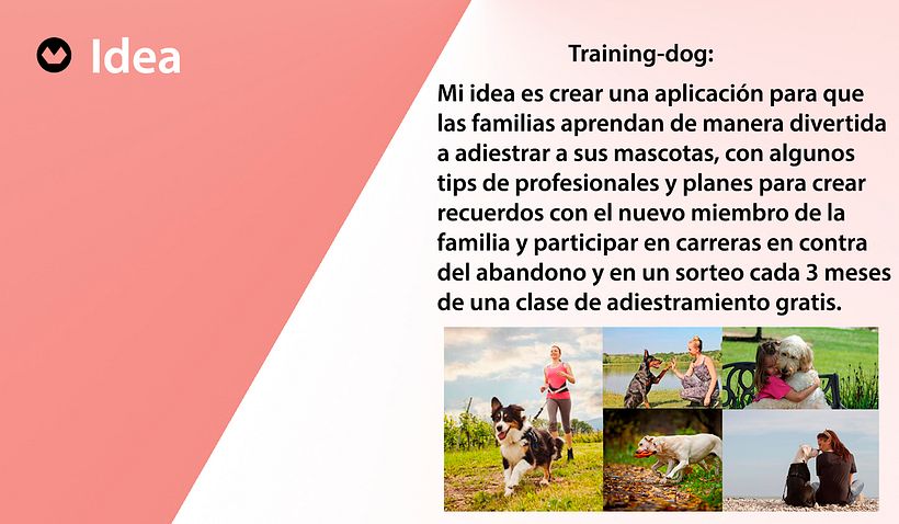 Training-dog 2