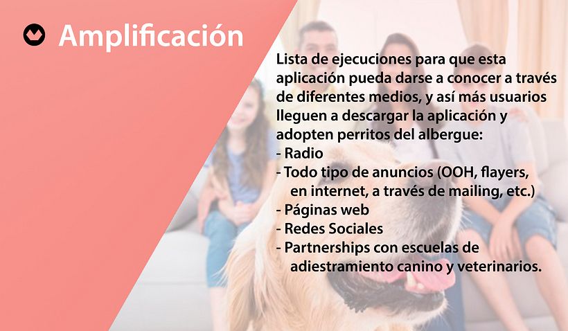 Training-dog 3