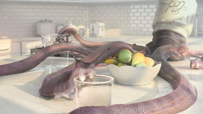 Terminix 2011 - Kitchen 0