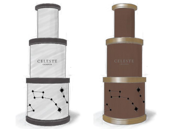 PACKAGING CELESTE _ Diseño de un packaging para una botella de vino 0