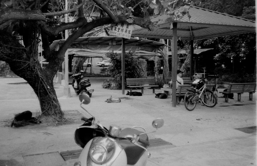 Fotografia Digital y Analógica 65
