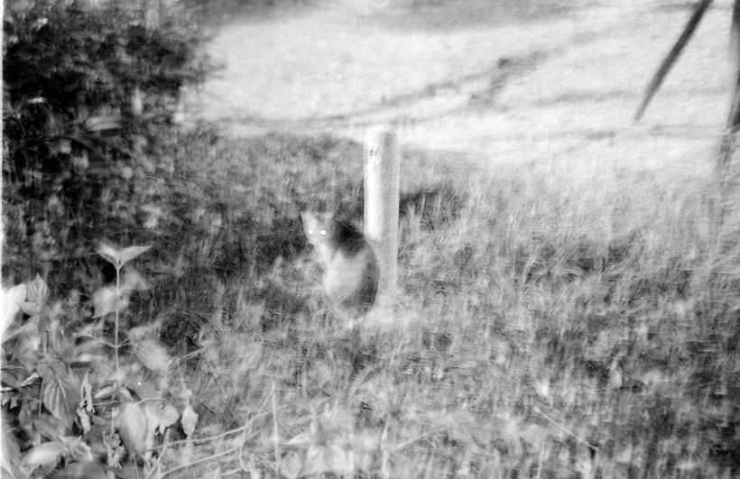 Fotografia Digital y Analógica 75