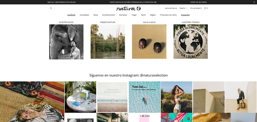 Desarrollo Web & Mantenimiento -1