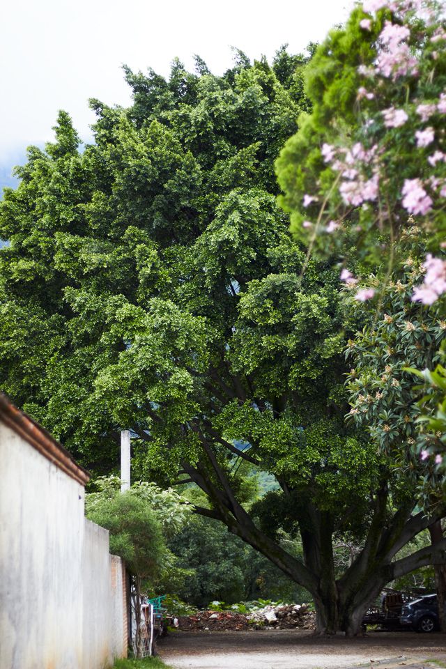 Tepoztlán 1