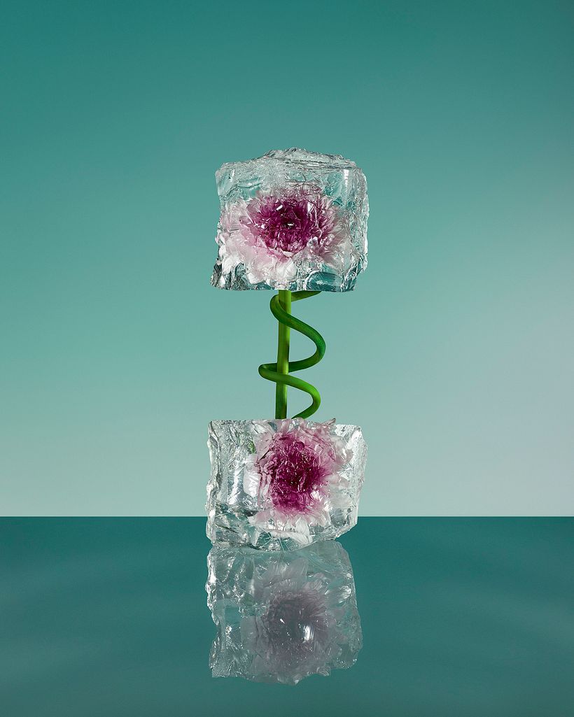 Freezing Flowers  2
