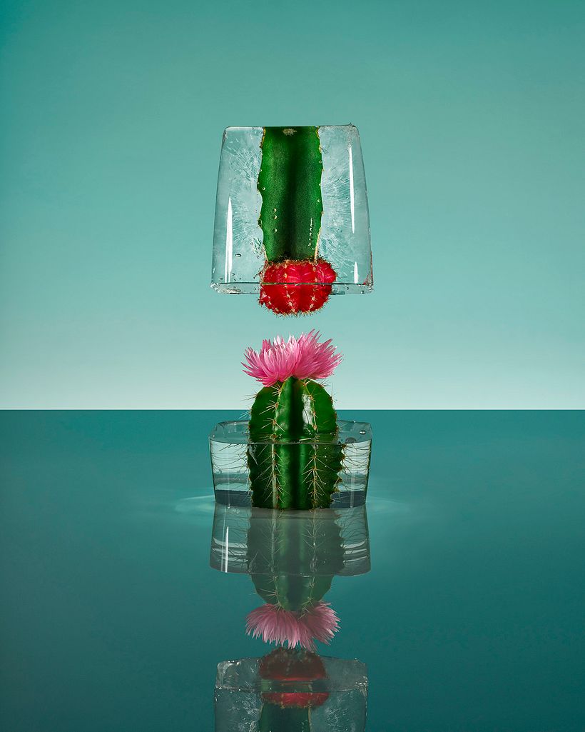 Freezing Flowers  8