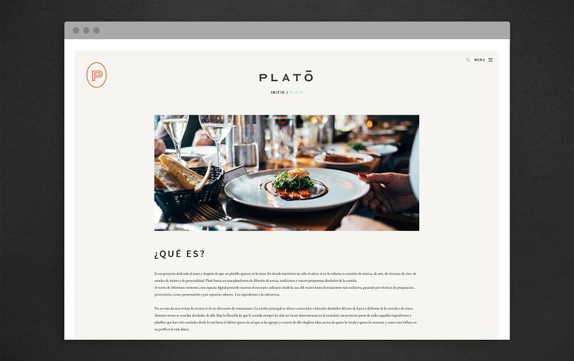 Plató 17