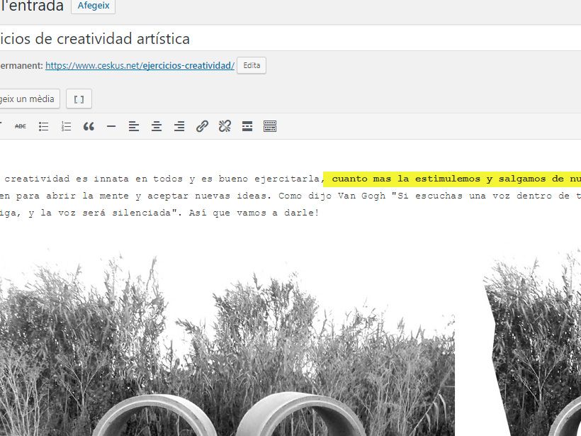 Mi Tema no muestra las negritas. 1