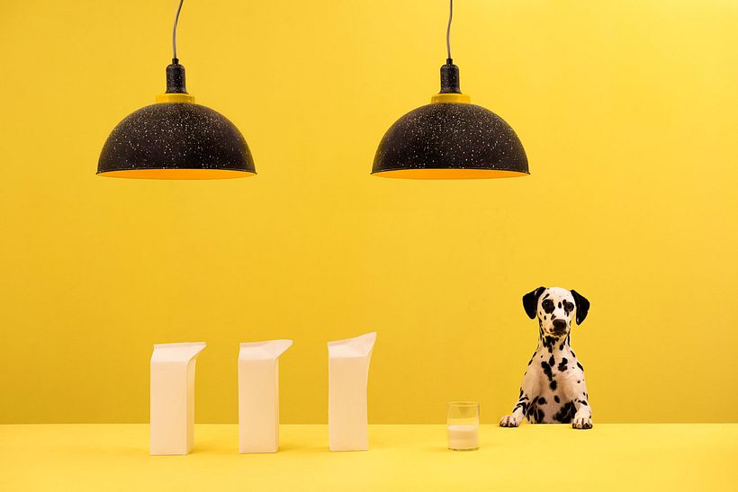 Masquespacio: branding 360º sensorial 8