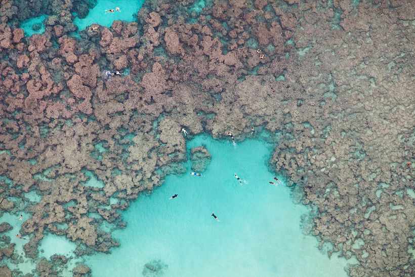 Fotografías que condensan el verano en una imagen 11