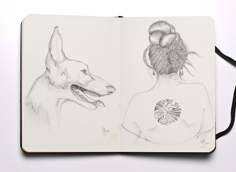 Illustrations 2