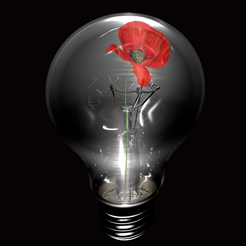 The Opium Bulb -1