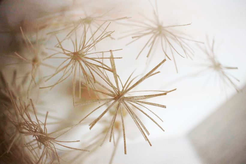 Proyecto Elementos 3